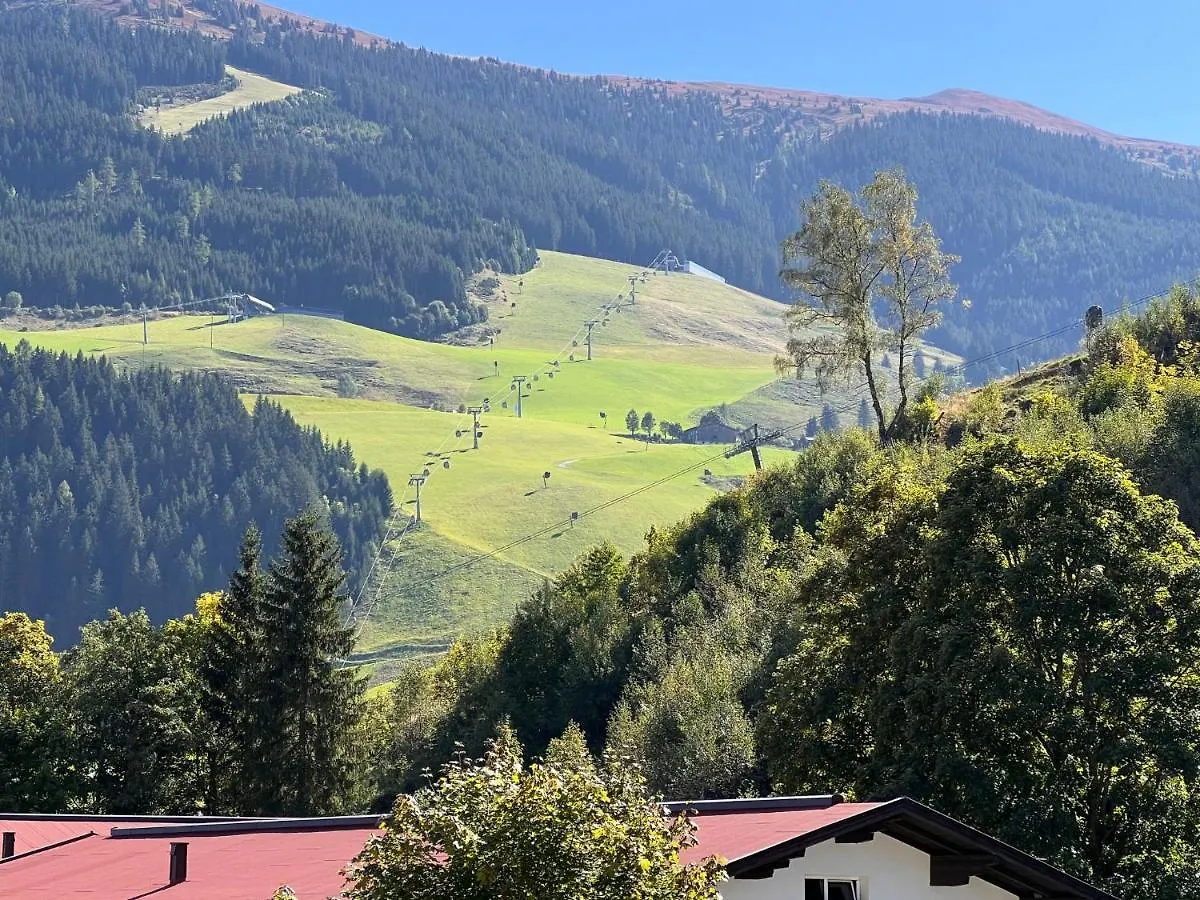 Apartment Flachgau By Interhome Saalbach-Hinterglemm